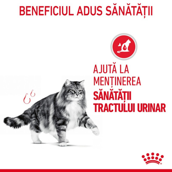 Royal Canin Urinary Care – Hrană Umedă pentru Pisici Adulte în Gelatină – 85 g
